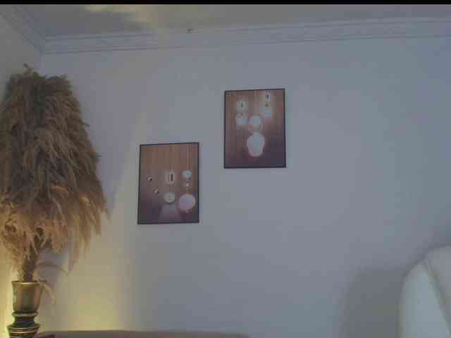 Octaviarouse webcam