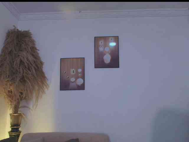 Octaviarouse webcam
