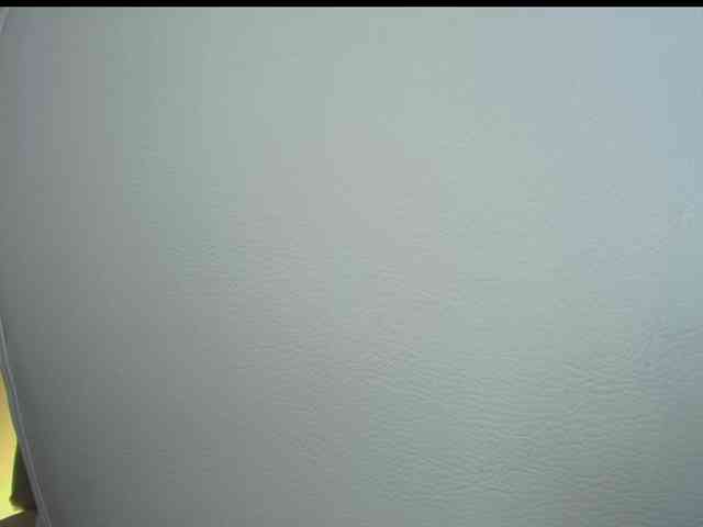 Octaviarouse webcam