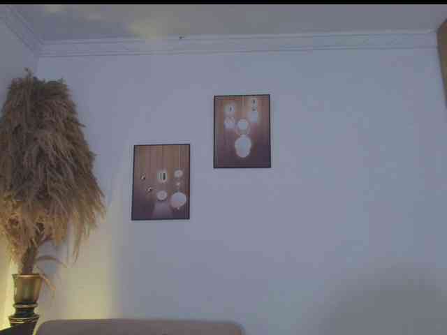 Octaviarouse webcam