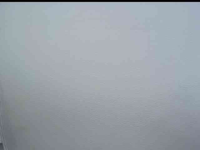 Octaviarouse webcam