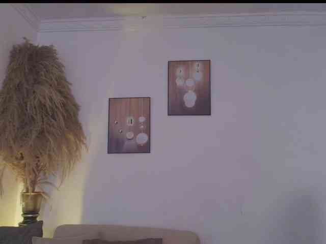 Octaviarouse webcam