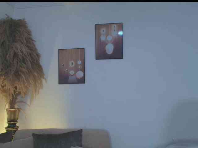 Octaviarouse webcam
