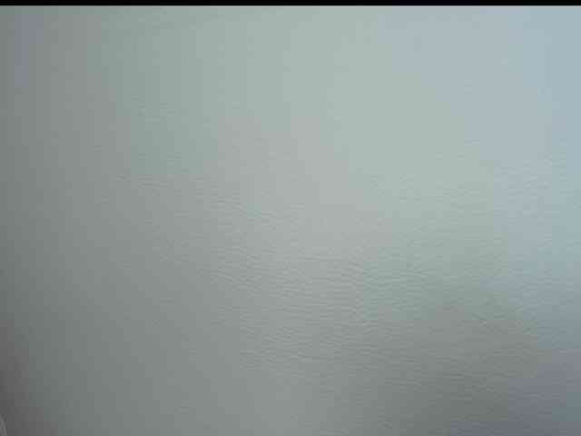 Octaviarouse webcam