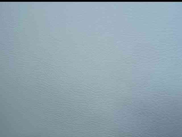 Octaviarouse webcam