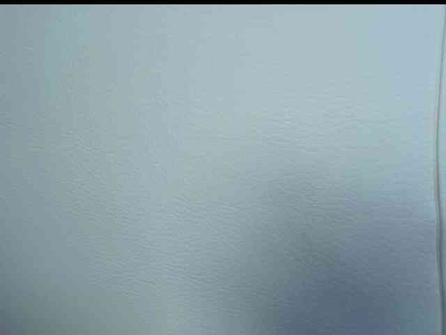 Octaviarouse webcam