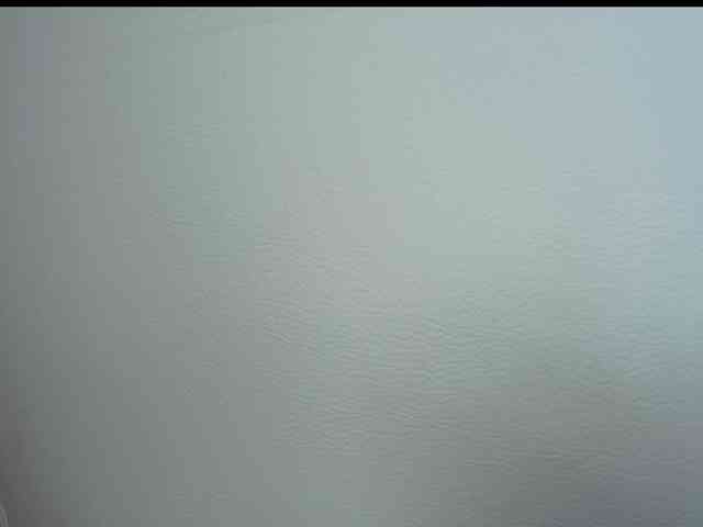 Octaviarouse webcam
