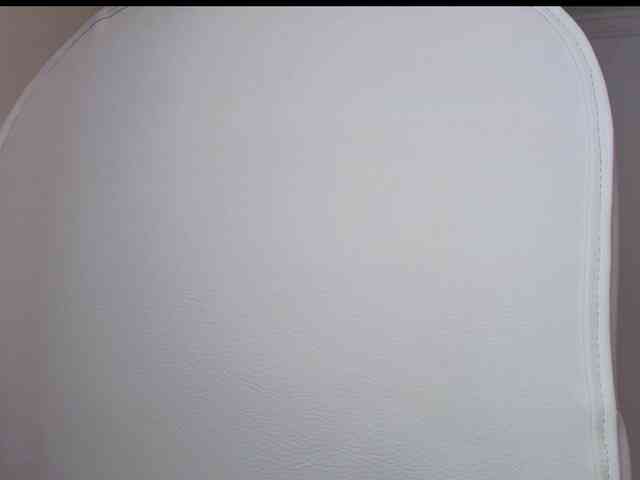 Octaviarouse webcam