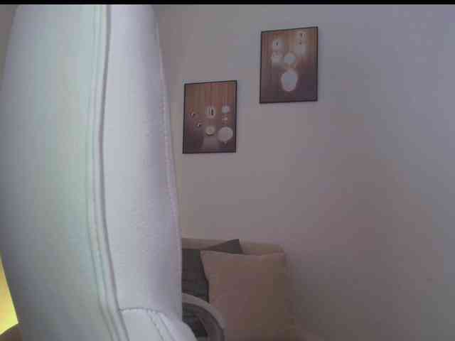 Octaviarouse webcam