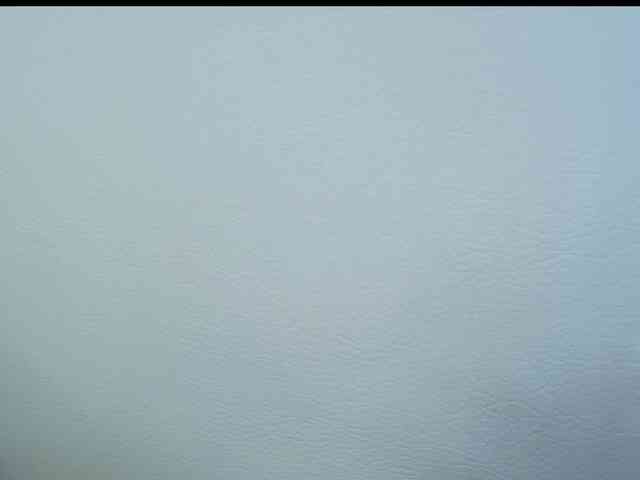 Octaviarouse webcam