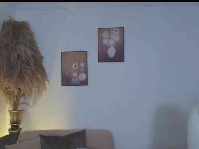 Octaviarouse webcam