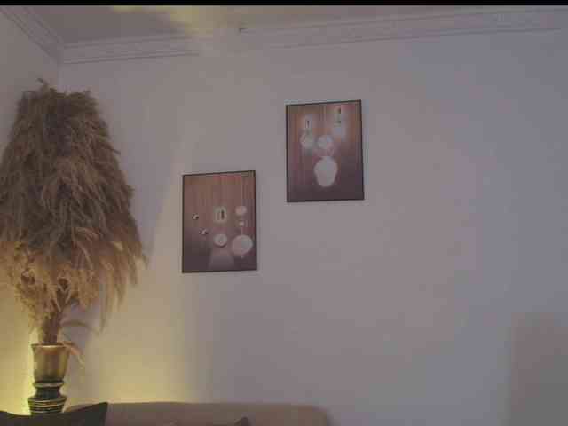 Octaviarouse webcam