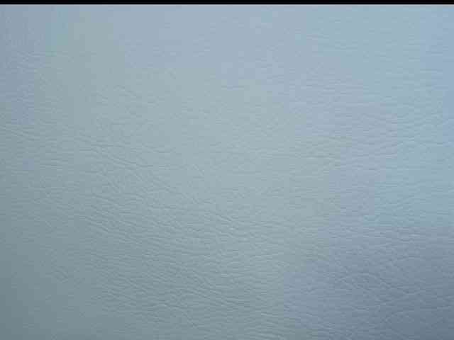 Octaviarouse webcam