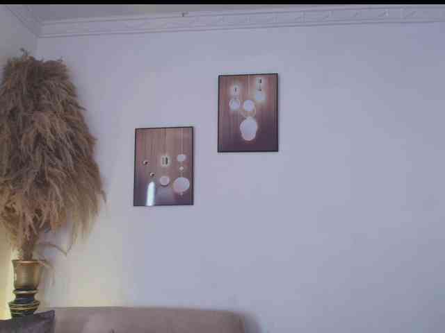 Octaviarouse webcam
