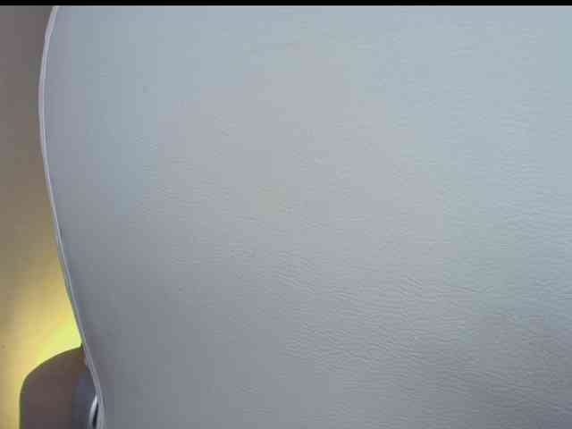 Octaviarouse webcam