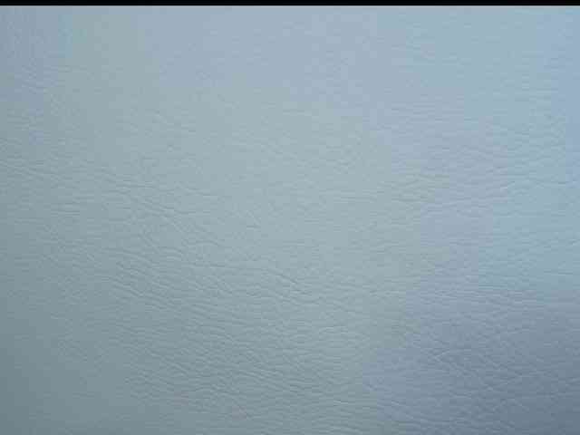 Octaviarouse webcam