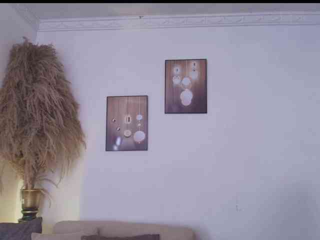 Octaviarouse webcam