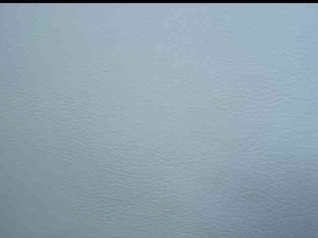 Octaviarouse webcam