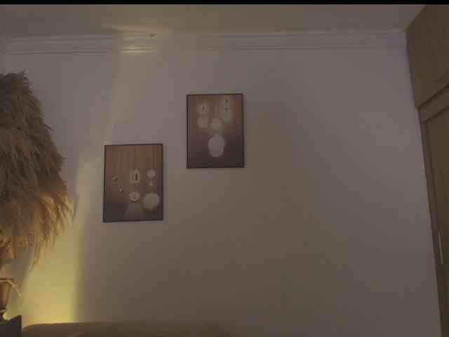 Octaviarouse webcam