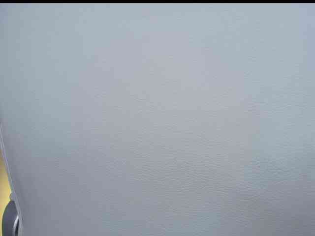 Octaviarouse webcam