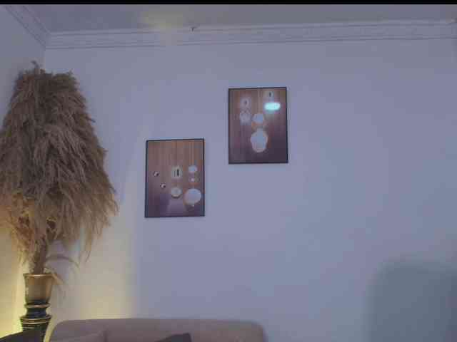 Octaviarouse webcam