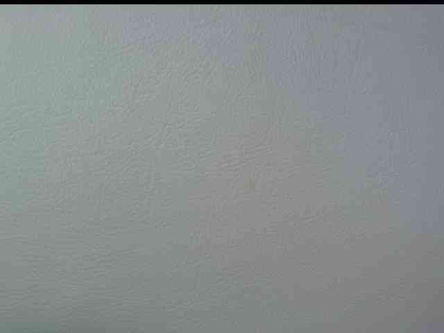 Octaviarouse webcam