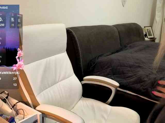 SusiLife webcam