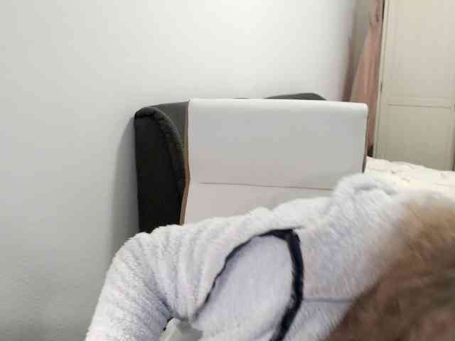 SusiLife webcam