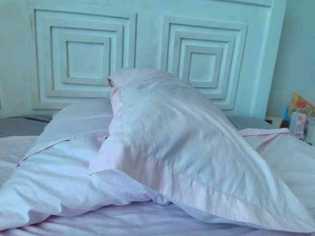 Jabera webcam