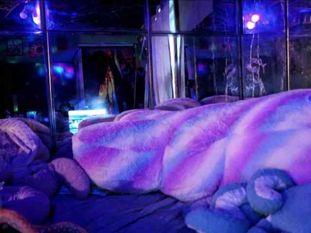 Meateater7455 webcam