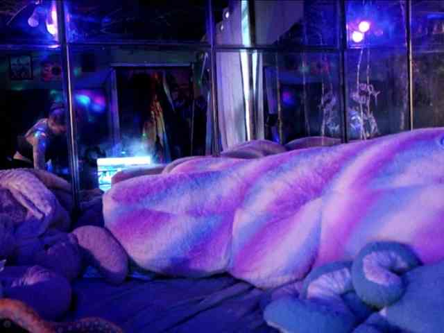 Meateater7455 webcam