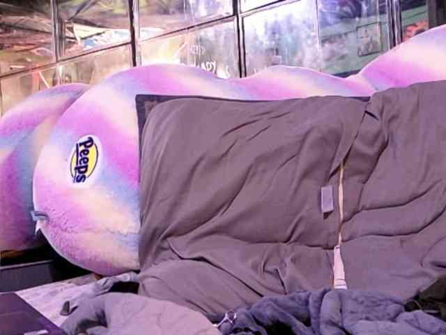 Meateater7455 Live Webcam on BongaCams