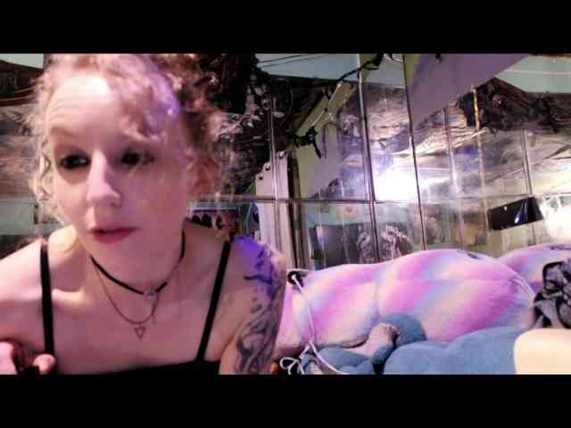 Meateater7455 webcam