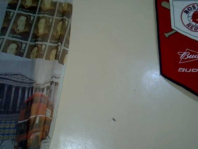 MDIVAH live cam on BongaCams