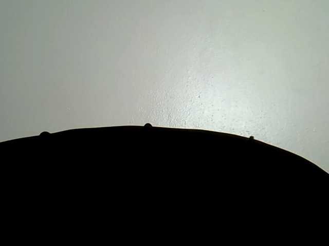MDIVAH live cam on BongaCams