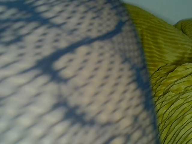 MDIVAH live cam on BongaCams