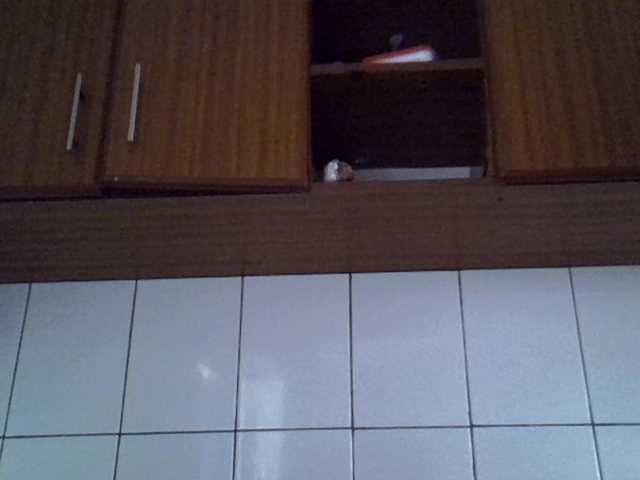 MDIVAH