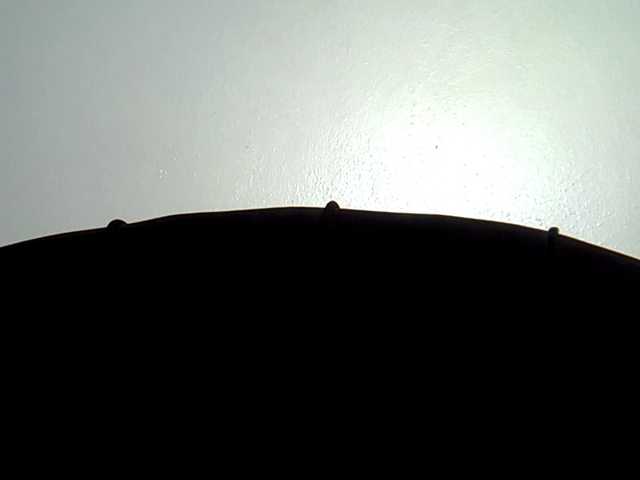MDIVAH live cam on BongaCams