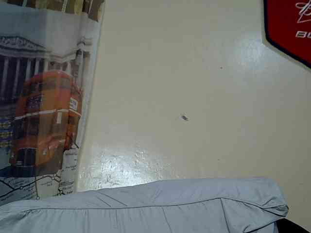 LAYLAAH webcam