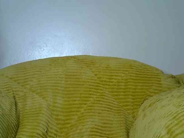LAYLAAH webcam