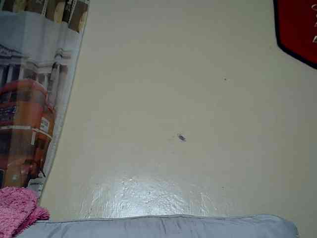 LAYLAAH webcam