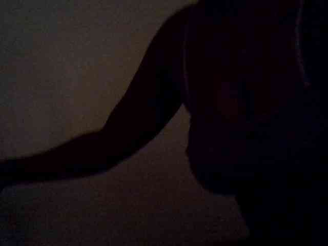 LAYLAAH webcam