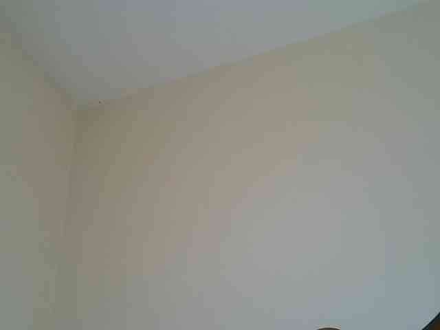 LAYLAAH webcam