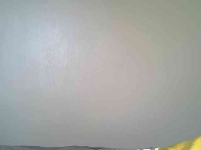 LAYLAAH webcam