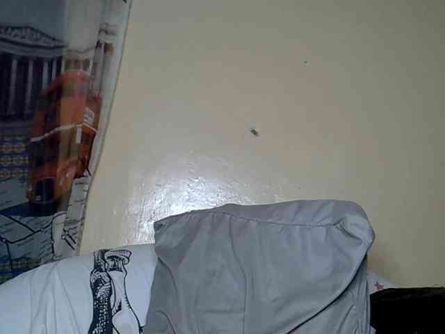 LAYLAAH webcam