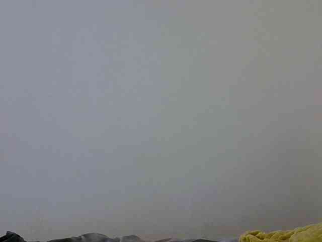 laylaah's live room
