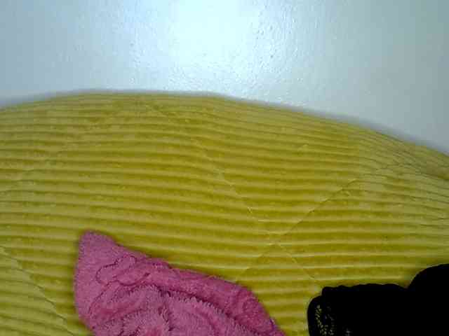 LAYLAAH webcam