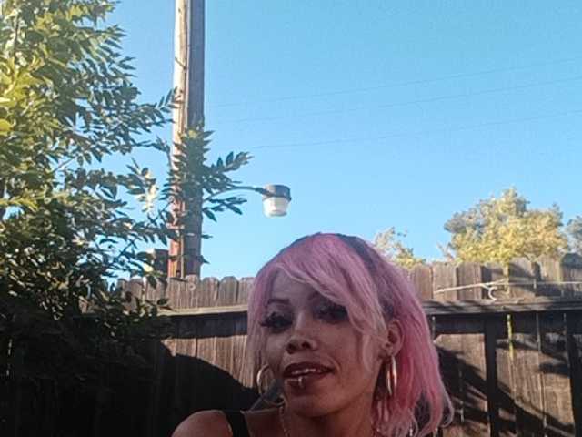 Dollyrose