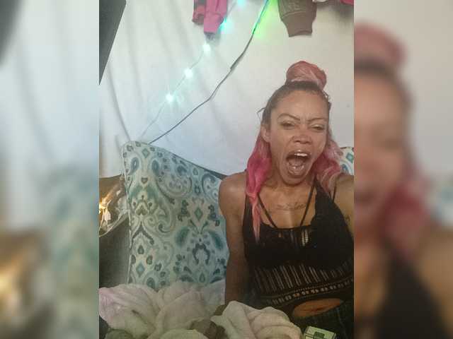 Dollyrose