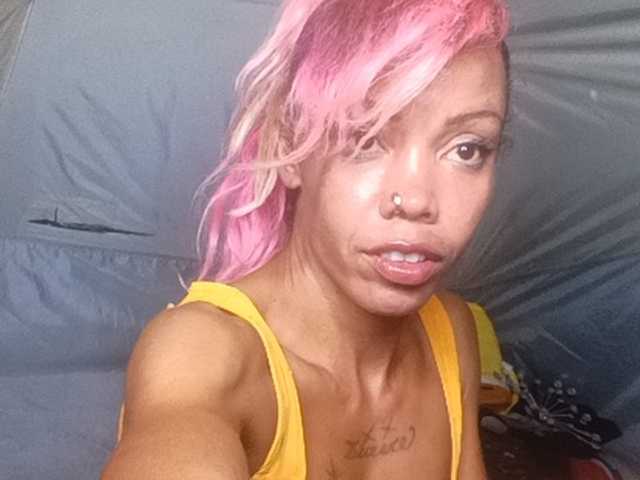 Dollyrose